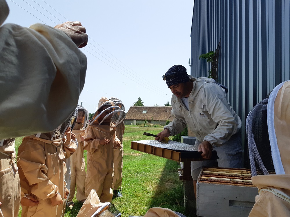 Visite de la ruche lors des portes ouvertes